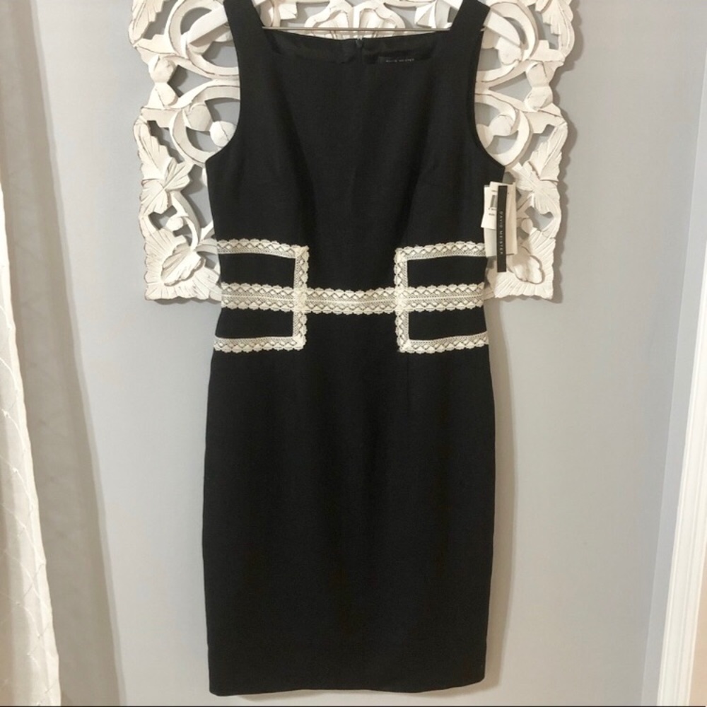 David Meister Linen Dress with White Lace Accent